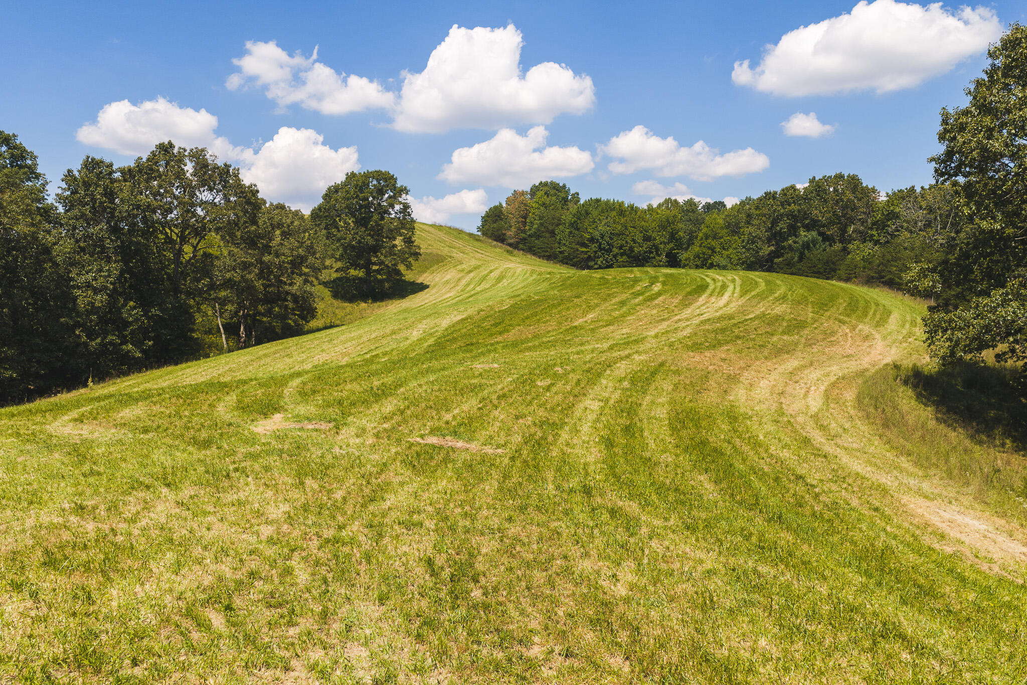5902 Chestnut Ridge Road Riner, VA 24149 - Photo 7 of 50 DJI_20260903133440_0945_D