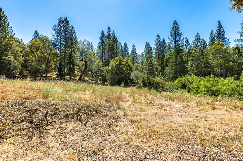 7859 Reed Lane Rackerby, CA 95972 - Photo 14 of 22