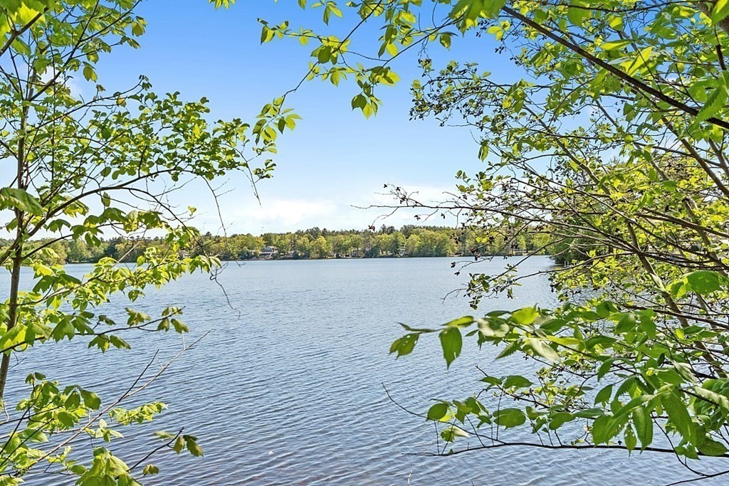 a view of a lake with a bench