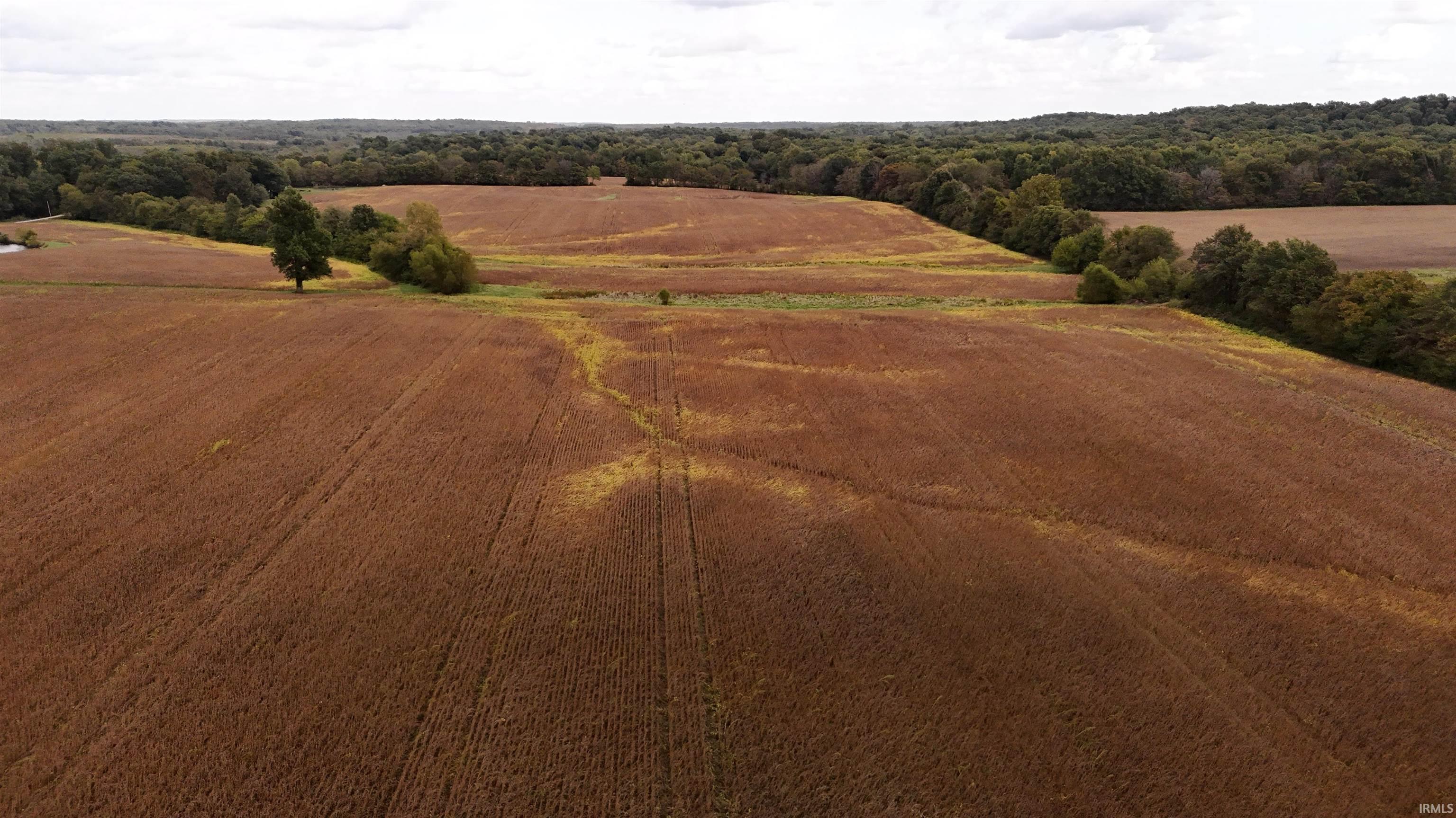 61 North State Route Lynnville, IN 47619 - Photo 8 of 12