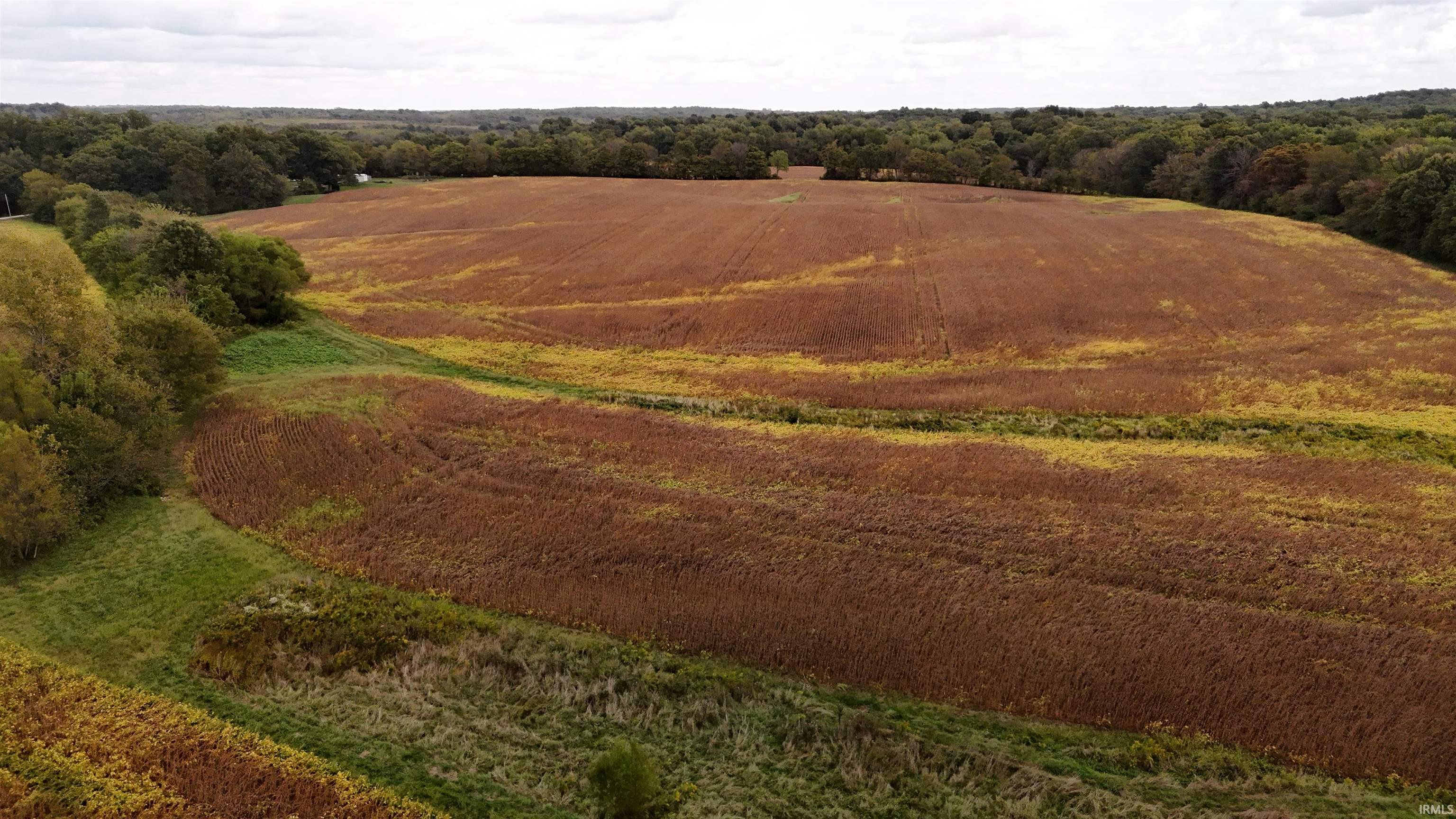 61 North State Route Lynnville, IN 47619 - Photo 9 of 12