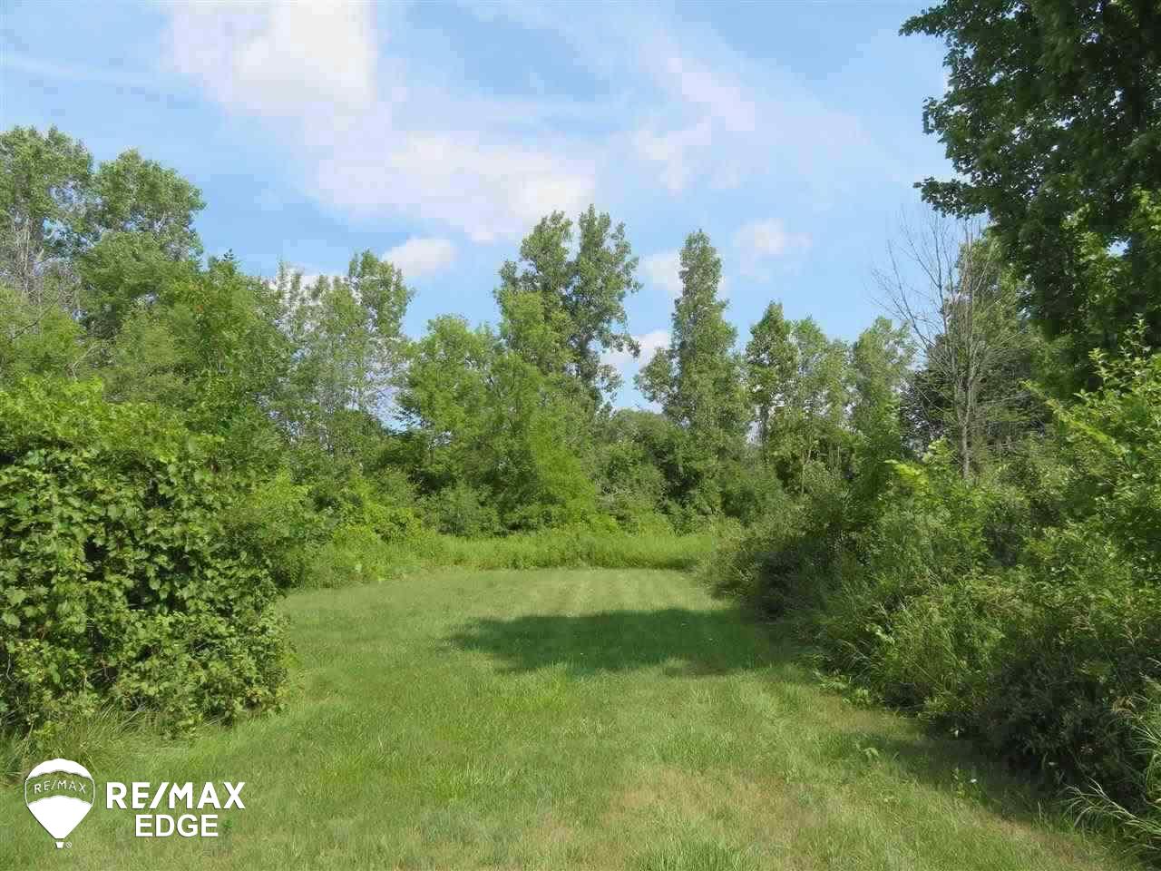 Parcel C East Wilson Road Otisville, MI 48463 - Photo 3 of 7