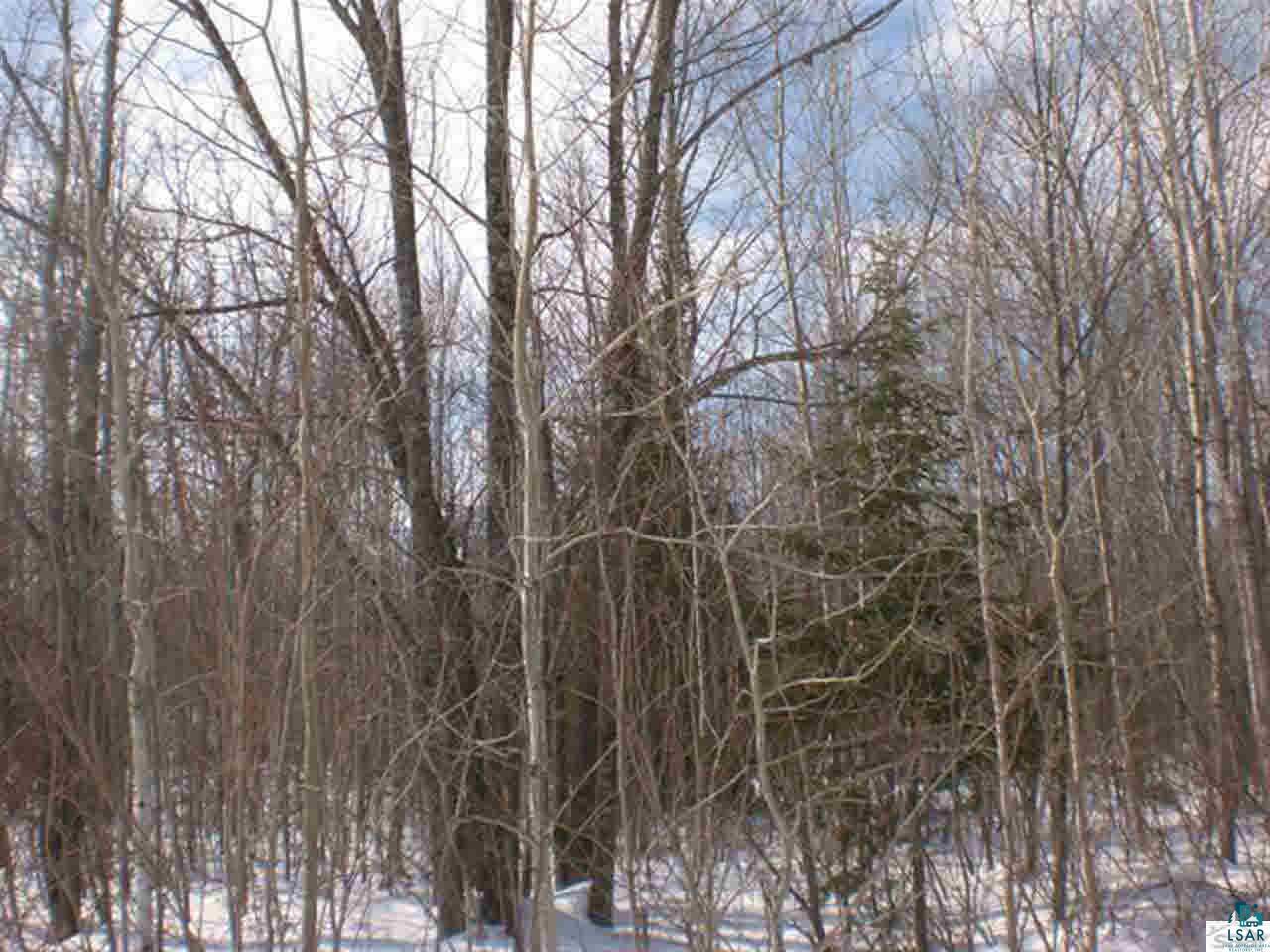 85845 Happy Hollow Road Bayfield, WI 54814 - Photo 23 of 25 Gallery Image 23