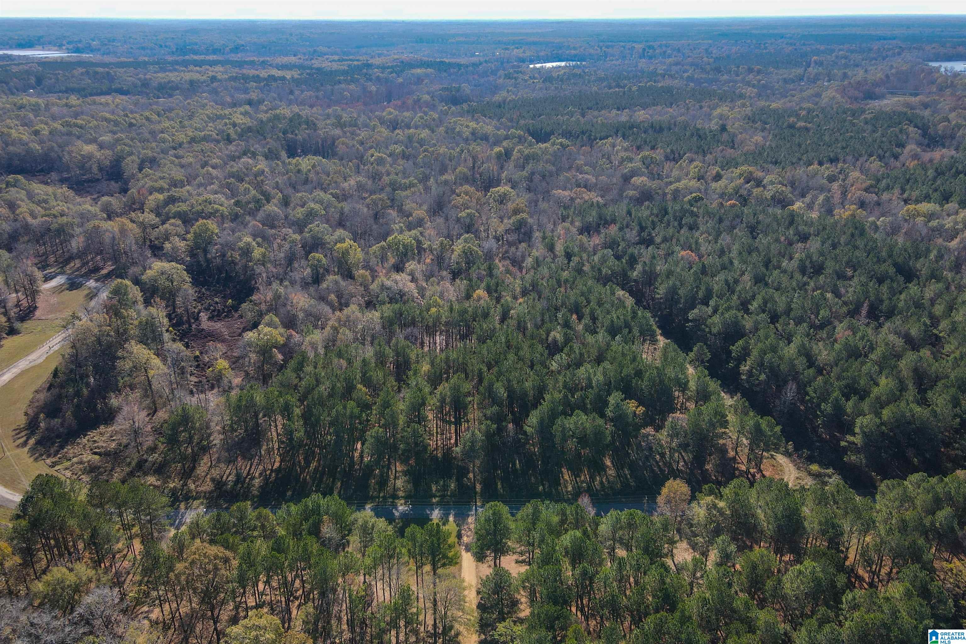 152 Cypress Point Drive, Unit 2 Akron, AL 35441 - Photo 14 of 29