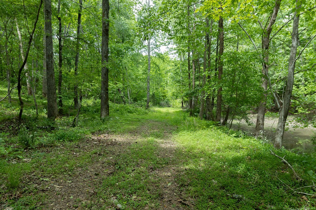 0 Billy Wynn Road Dickson, TN 37055 - Photo 1 of 46 a view of outdoor space and green space