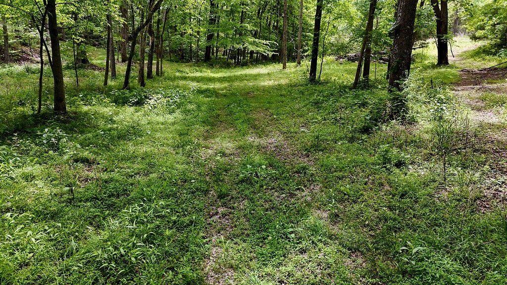 0 Billy Wynn Road Dickson, TN 37055 - Photo 11 of 46