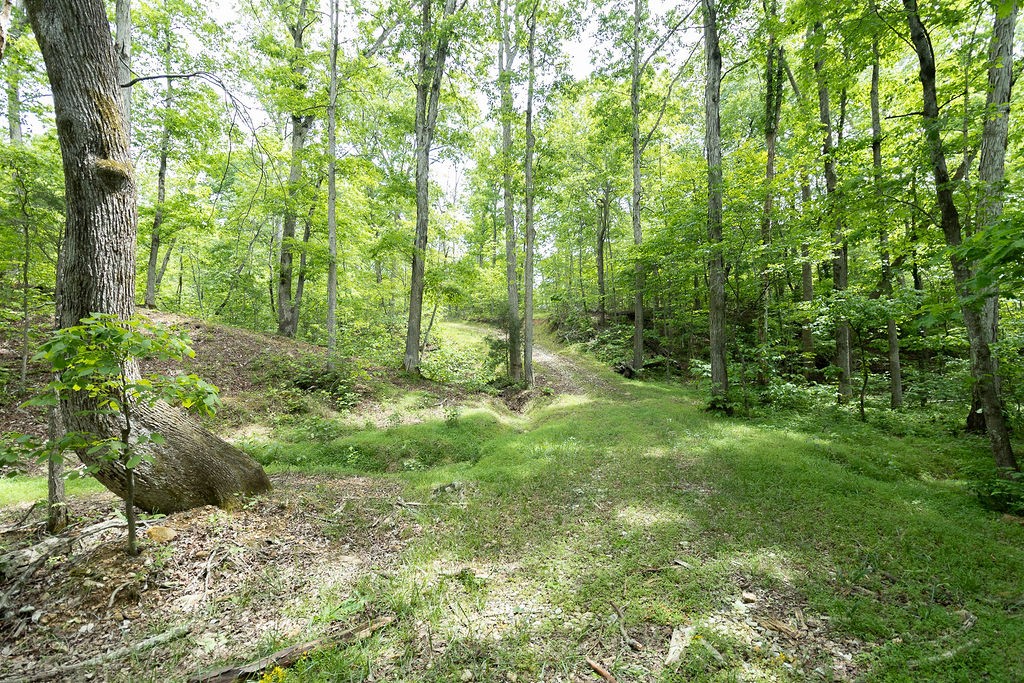 0 Billy Wynn Road Dickson, TN 37055 - Photo 12 of 46 a view of outdoor space and trees