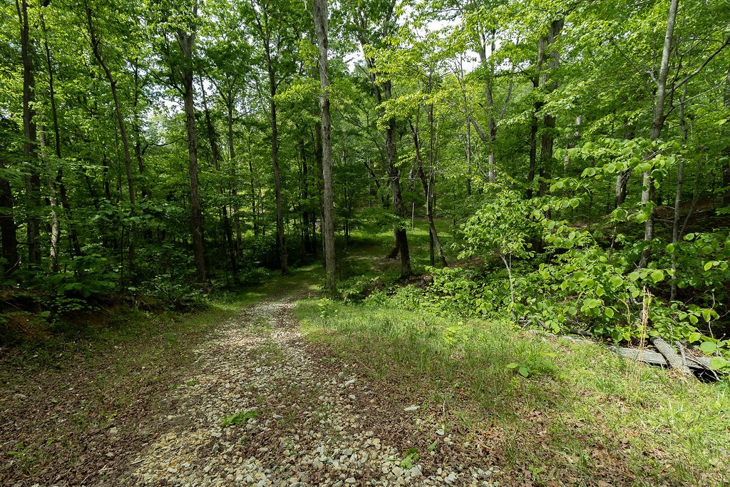 0 Billy Wynn Road Dickson, TN 37055 - Photo 13 of 46