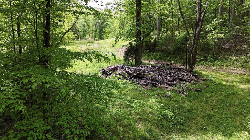 0 Billy Wynn Road Dickson, TN 37055 - Photo 15 of 46
