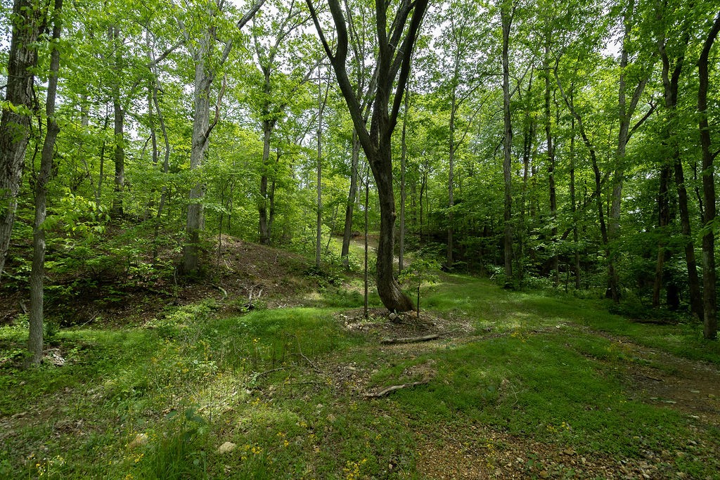 0 Billy Wynn Road Dickson, TN 37055 - Photo 16 of 46 a view of a lush green forest