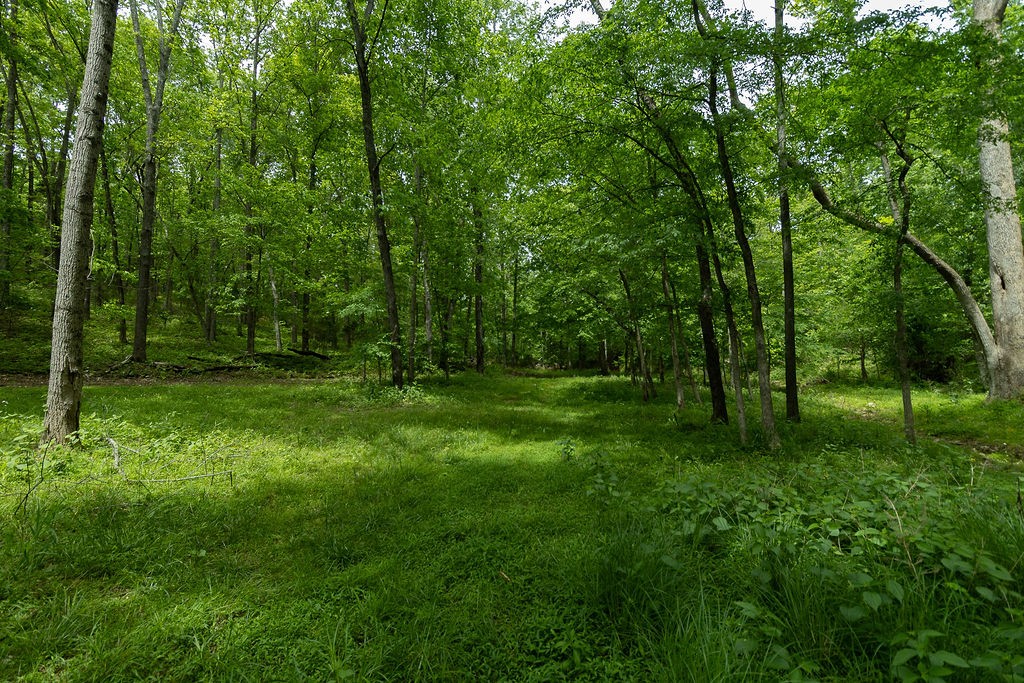 0 Billy Wynn Road Dickson, TN 37055 - Photo 17 of 46 a view of outdoor space with green field and trees