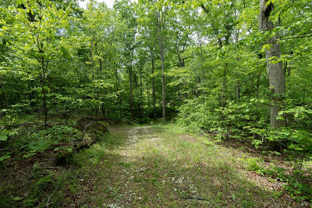 0 Billy Wynn Road Dickson, TN 37055 - Photo 19 of 46