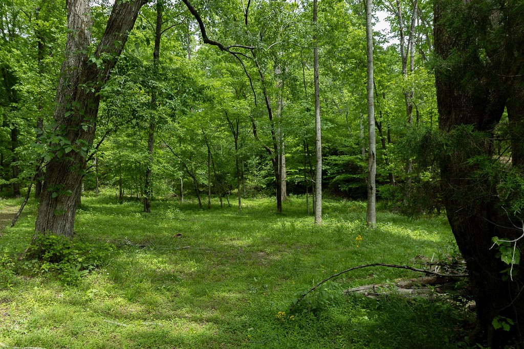 0 Billy Wynn Road Dickson, TN 37055 - Photo 21 of 46