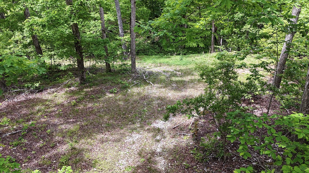 0 Billy Wynn Road Dickson, TN 37055 - Photo 22 of 46 a view of outdoor space with trees
