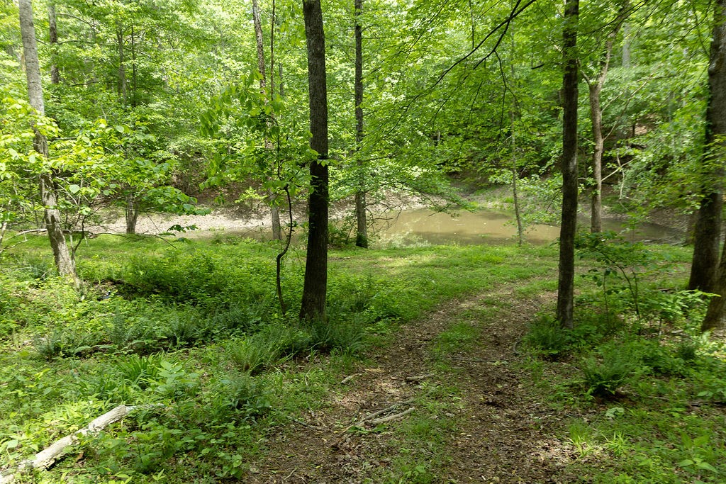 0 Billy Wynn Road Dickson, TN 37055 - Photo 23 of 46