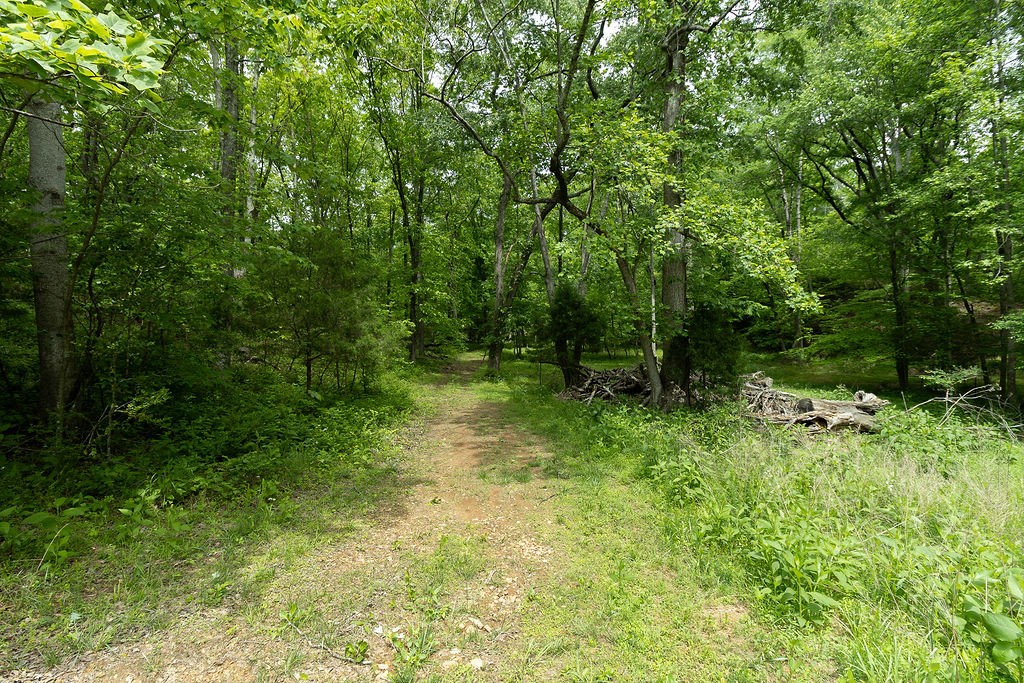 0 Billy Wynn Road Dickson, TN 37055 - Photo 24 of 46 a view of outdoor space and green space