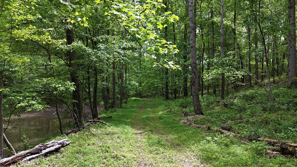 0 Billy Wynn Road Dickson, TN 37055 - Photo 26 of 46