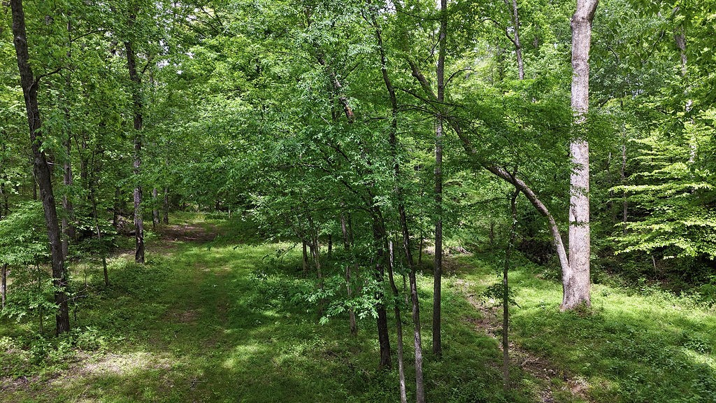 0 Billy Wynn Road Dickson, TN 37055 - Photo 27 of 46