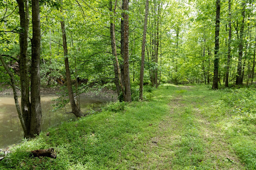 0 Billy Wynn Road Dickson, TN 37055 - Photo 29 of 46 a view of outdoor space and green space