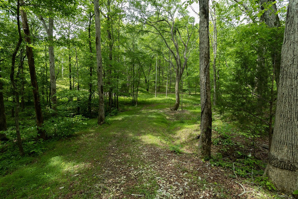 0 Billy Wynn Road Dickson, TN 37055 - Photo 30 of 46 a view of outdoor space and green space