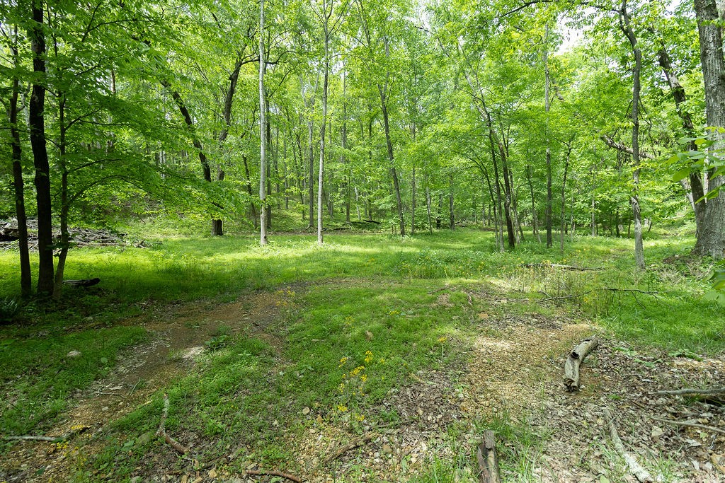 0 Billy Wynn Road Dickson, TN 37055 - Photo 3 of 46 a view of a lush green space