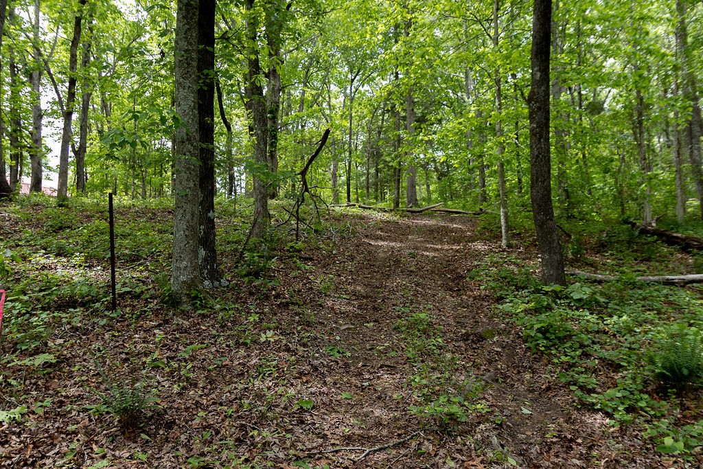 0 Billy Wynn Road Dickson, TN 37055 - Photo 31 of 46