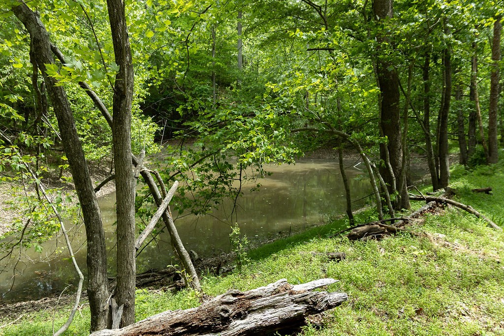 0 Billy Wynn Road Dickson, TN 37055 - Photo 32 of 46 a backyard of a house with lots of green space