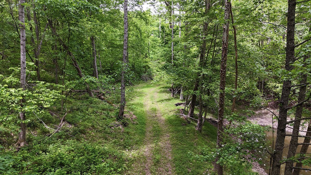 0 Billy Wynn Road Dickson, TN 37055 - Photo 33 of 46