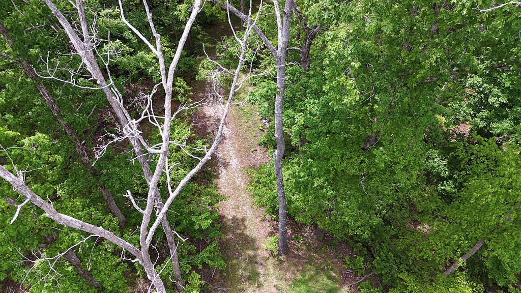 0 Billy Wynn Road Dickson, TN 37055 - Photo 35 of 46