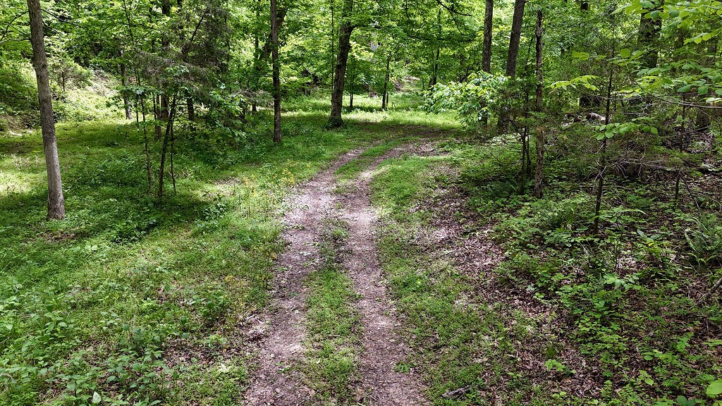0 Billy Wynn Road Dickson, TN 37055 - Photo 36 of 46