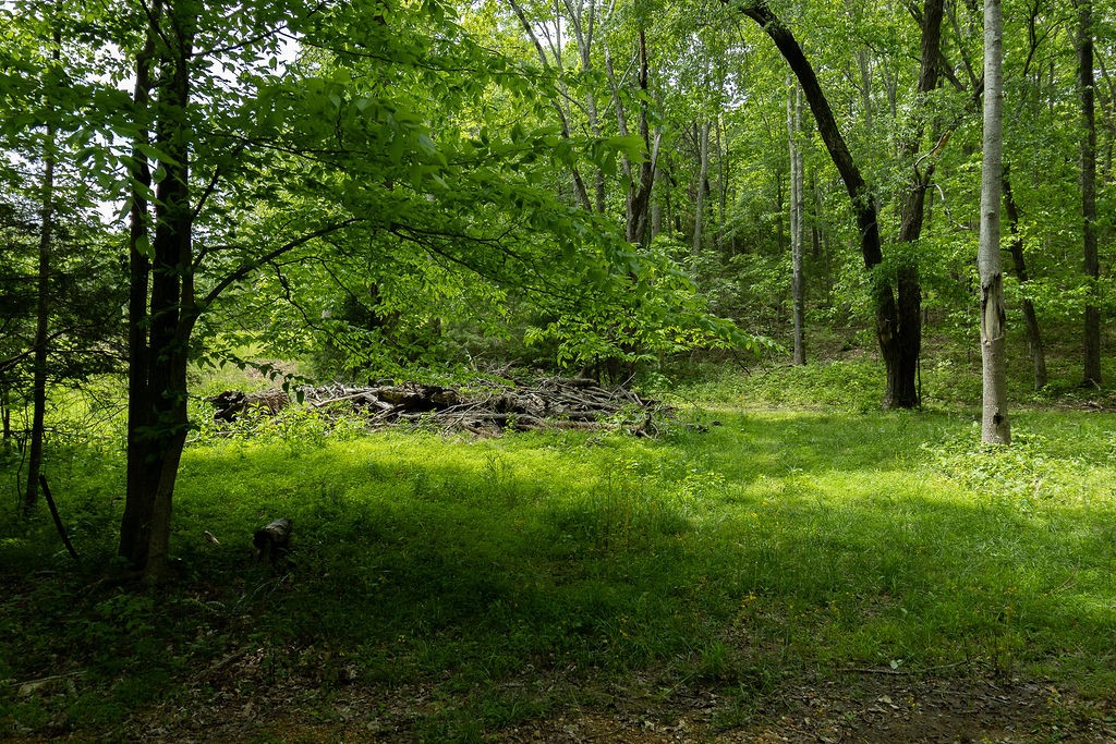 0 Billy Wynn Road Dickson, TN 37055 - Photo 37 of 46 a view of outdoor space and yard