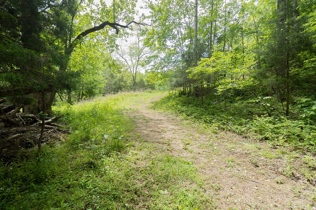 0 Billy Wynn Road Dickson, TN 37055 - Photo 38 of 46 a view of a garden with a tree
