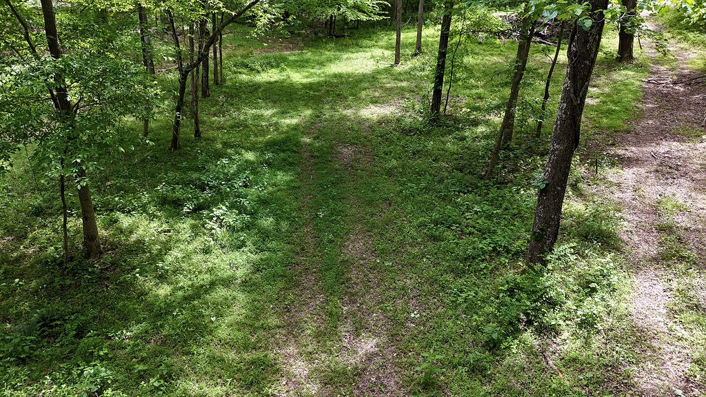0 Billy Wynn Road Dickson, TN 37055 - Photo 39 of 46