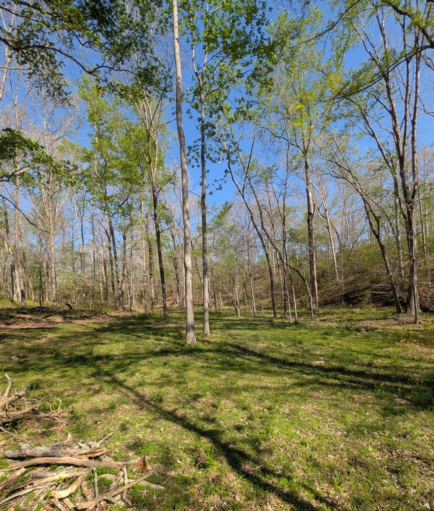 0 Billy Wynn Road Dickson, TN 37055 - Photo 4 of 46