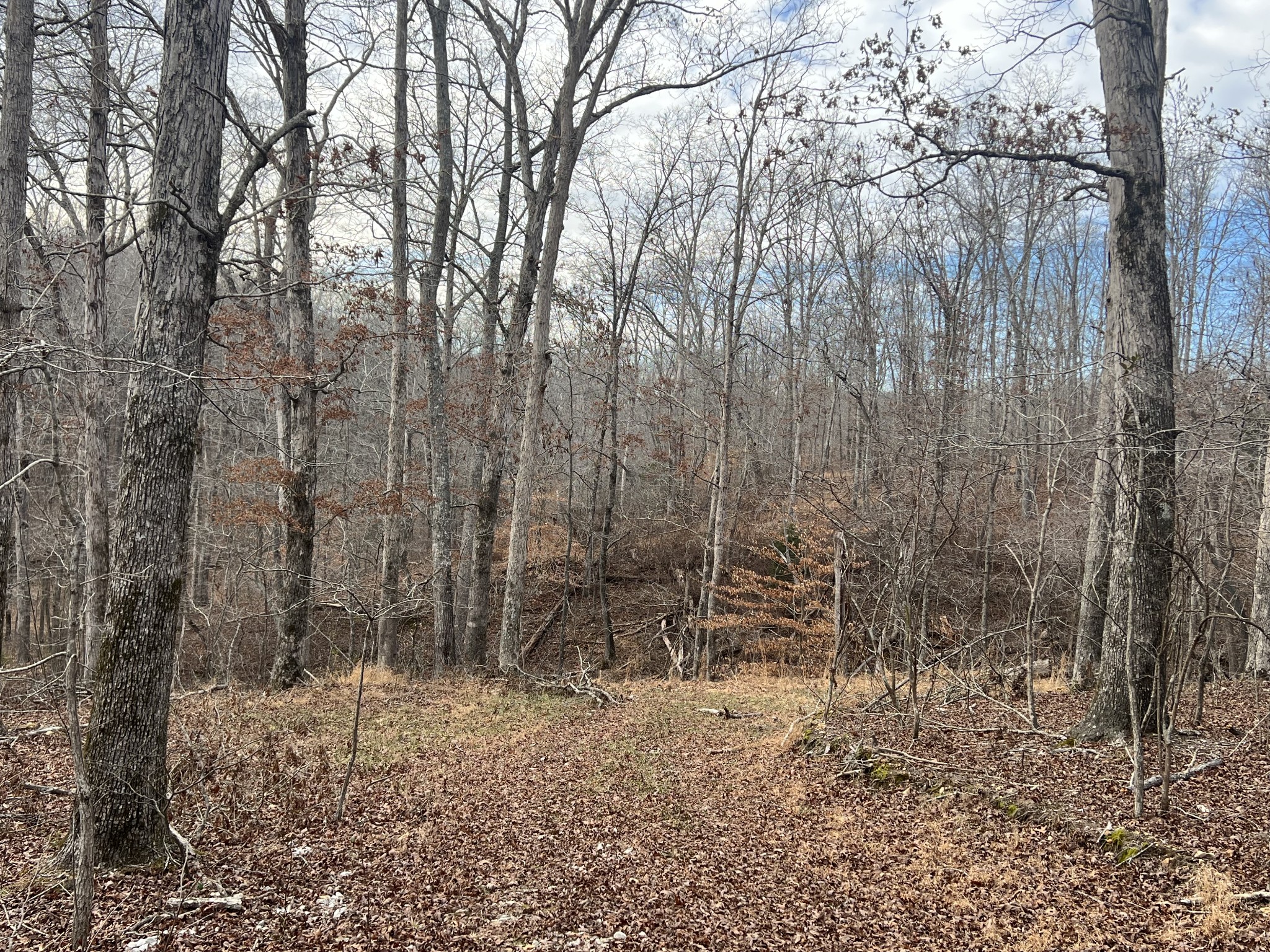 0 Billy Wynn Road Dickson, TN 37055 - Photo 4 of 4