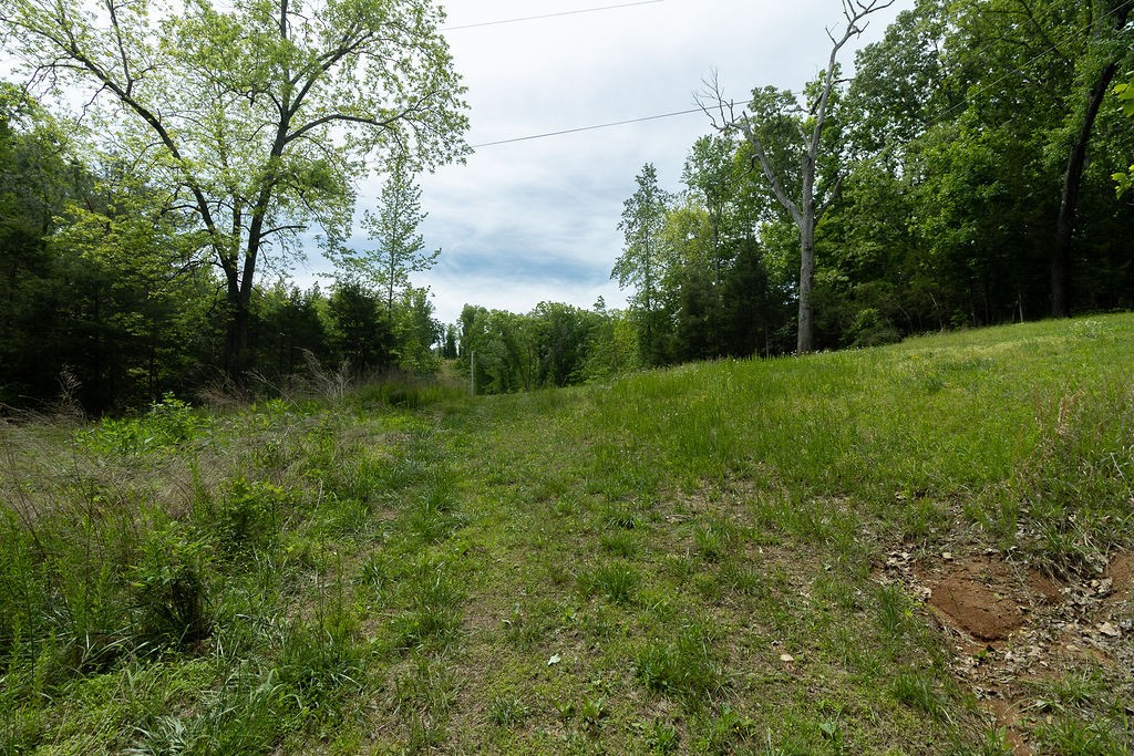 0 Billy Wynn Road Dickson, TN 37055 - Photo 42 of 46 a view of outdoor space and yard