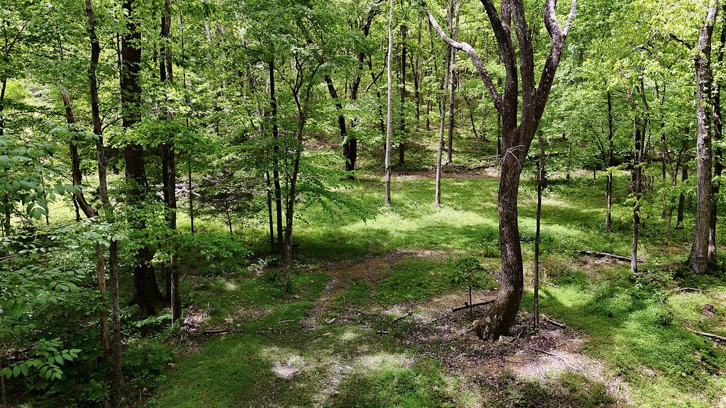 0 Billy Wynn Road Dickson, TN 37055 - Photo 45 of 46 a view of outdoor space and green space