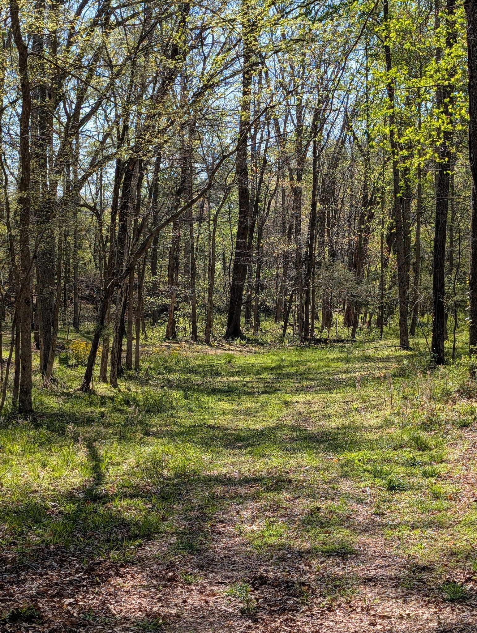 0 Billy Wynn Road Dickson, TN 37055 - Photo 6 of 46