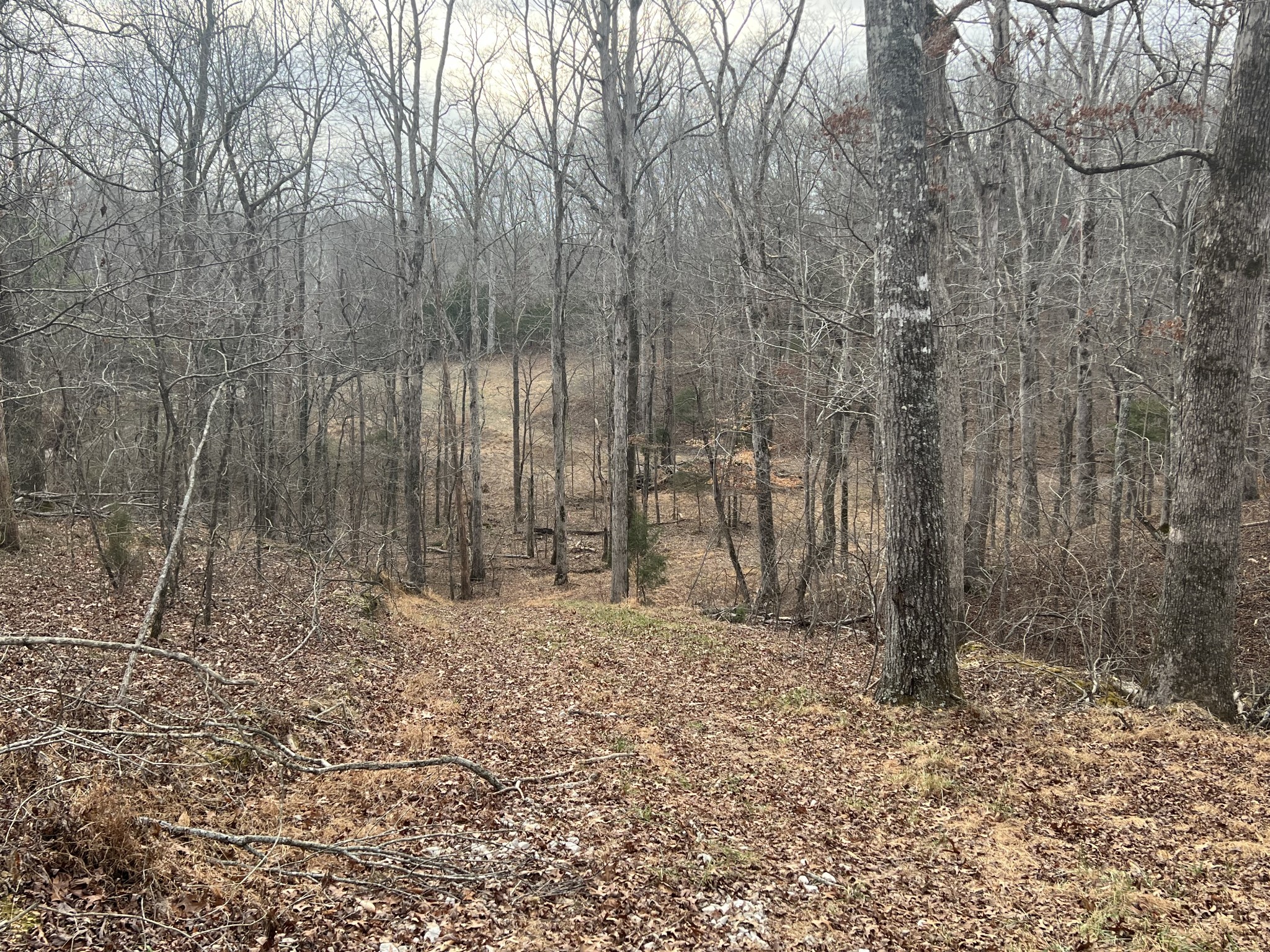 0 Billy Wynn Road Dickson, TN 37055 - Photo 7 of 46 a backyard of a house with lots of green space