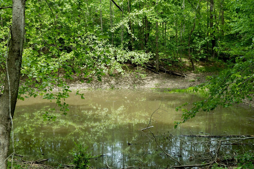 0 Billy Wynn Road Dickson, TN 37055 - Photo 8 of 46