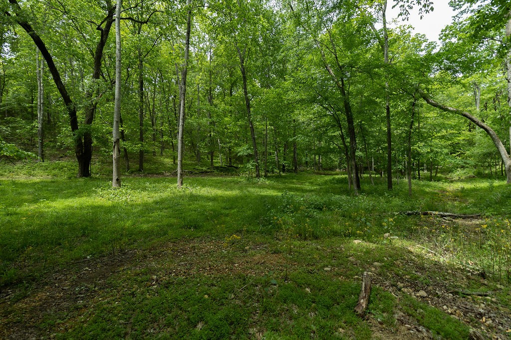 0 Billy Wynn Road Dickson, TN 37055 - Photo 10 of 46 a view of outdoor space with green field and trees