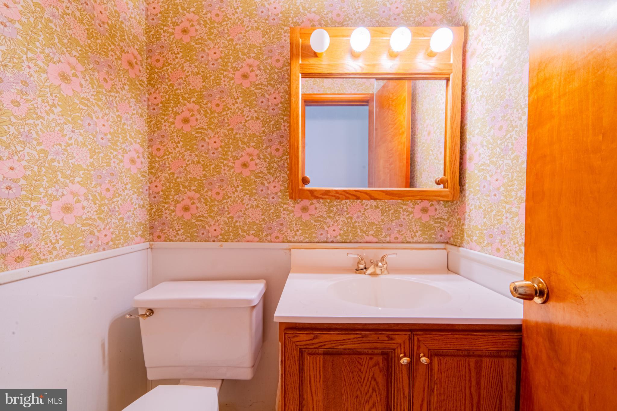 575 Centerton Road Elmer, NJ 08318 - Photo 15 of 28 a bathroom with a sink and a toilet