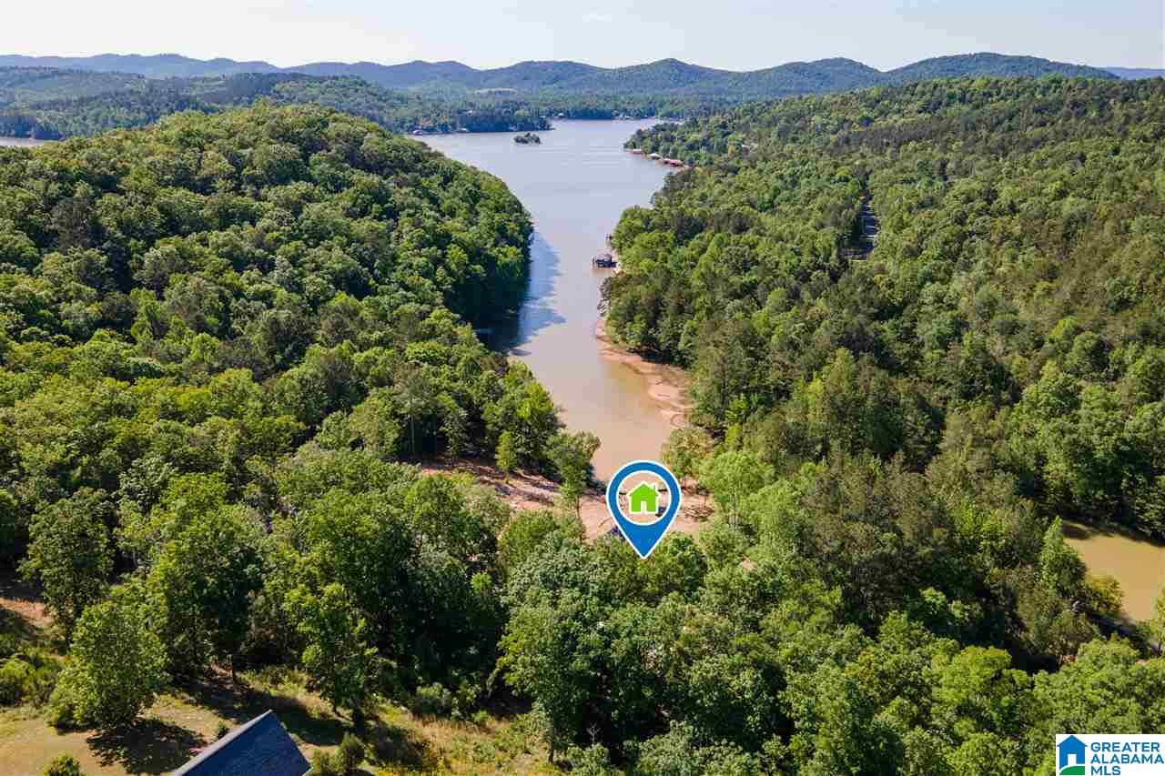 1438 Mohawk Cliff Road Ohatchee, AL 36271 - Photo 49 of 50