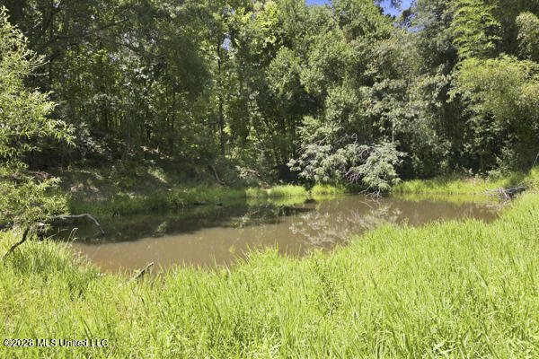 1076 Perrett Road Hazlehurst, MS 39083 - Photo 27 of 30 IMG_1196