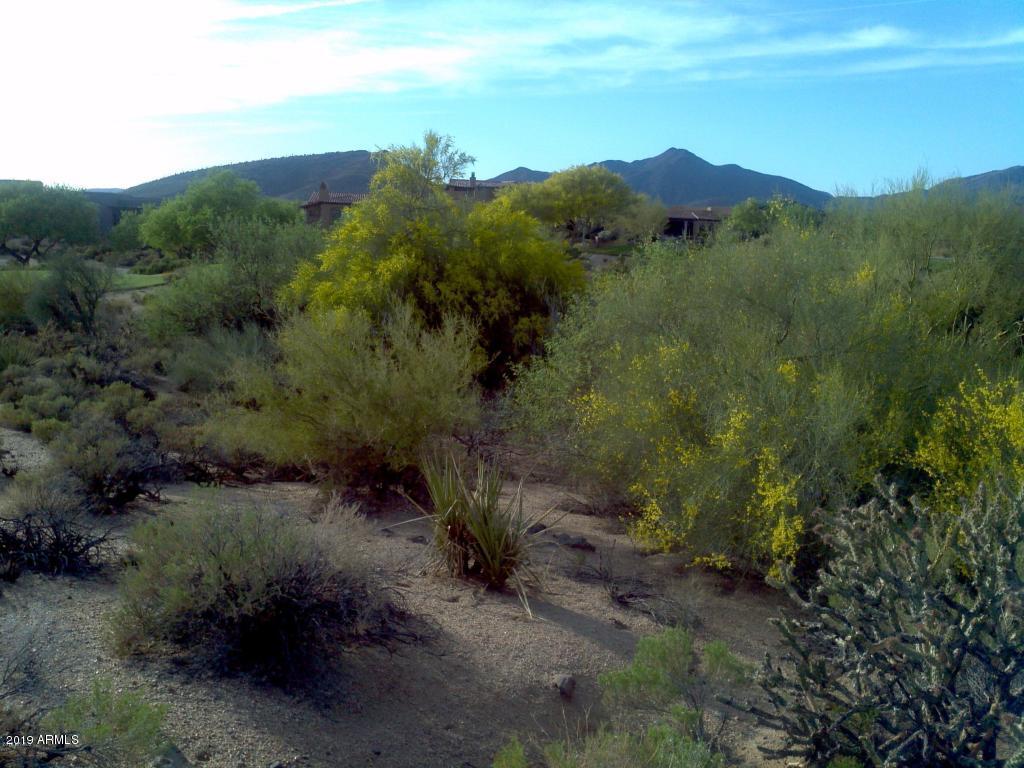 10234 East Joy Ranch Road, Unit 396 Scottsdale, AZ 85262 - Photo 4 of 4 20180424022322430771000000-o