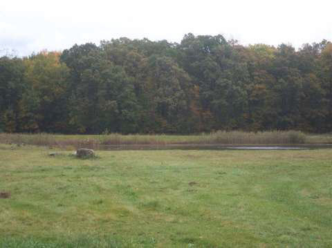 11128 Elms Road Clio, MI 48420 - Photo 26 of 26 20451236-25.JPG