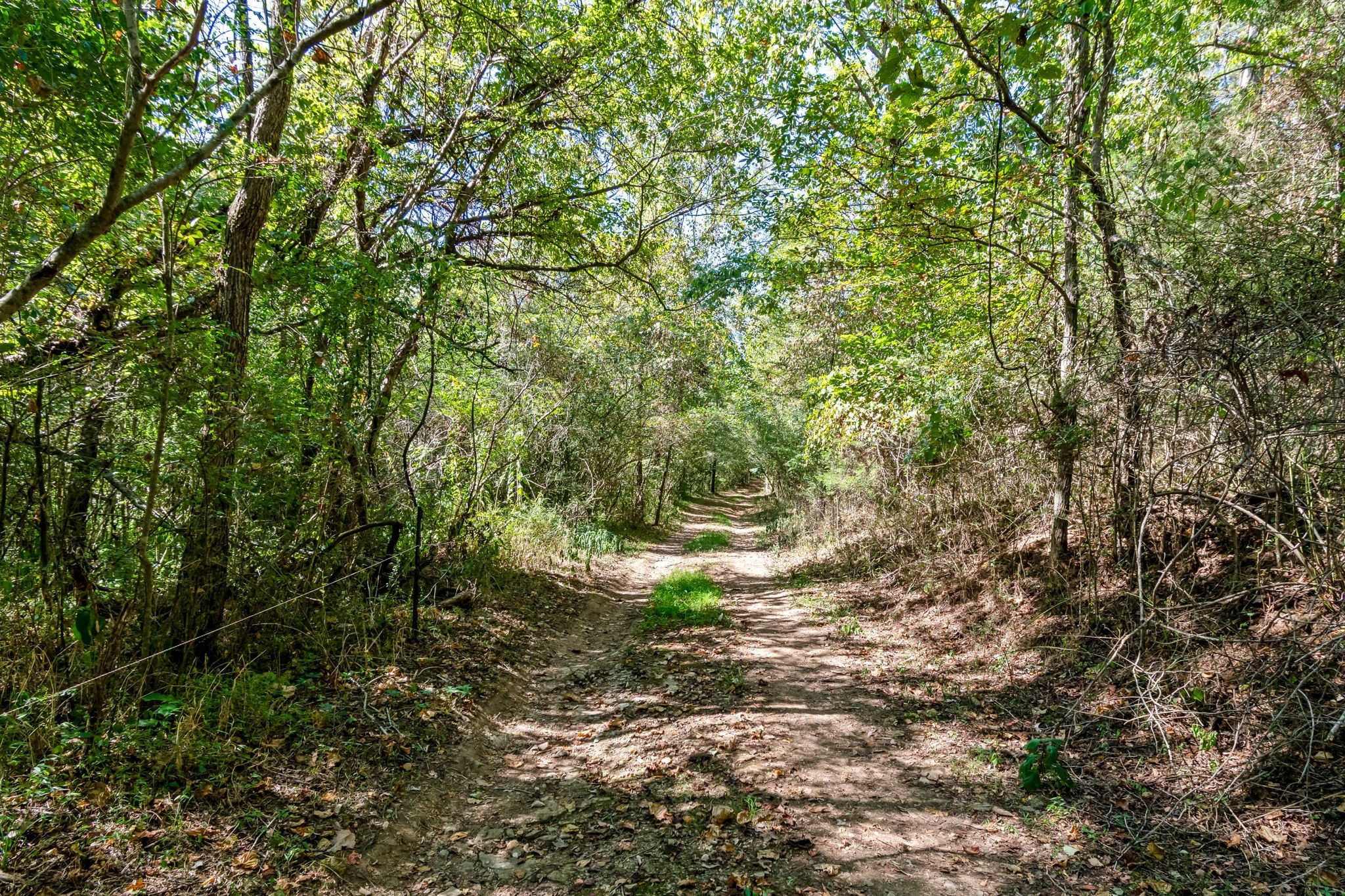 2320 Stephens Road Columbia, TN 38401 - Photo 19 of 47