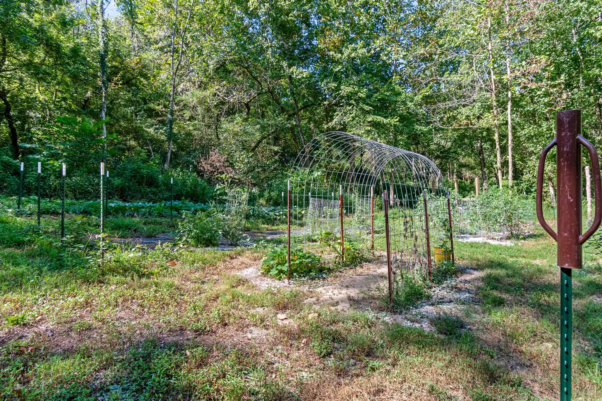 2320 Stephens Road Columbia, TN 38401 - Photo 43 of 47
