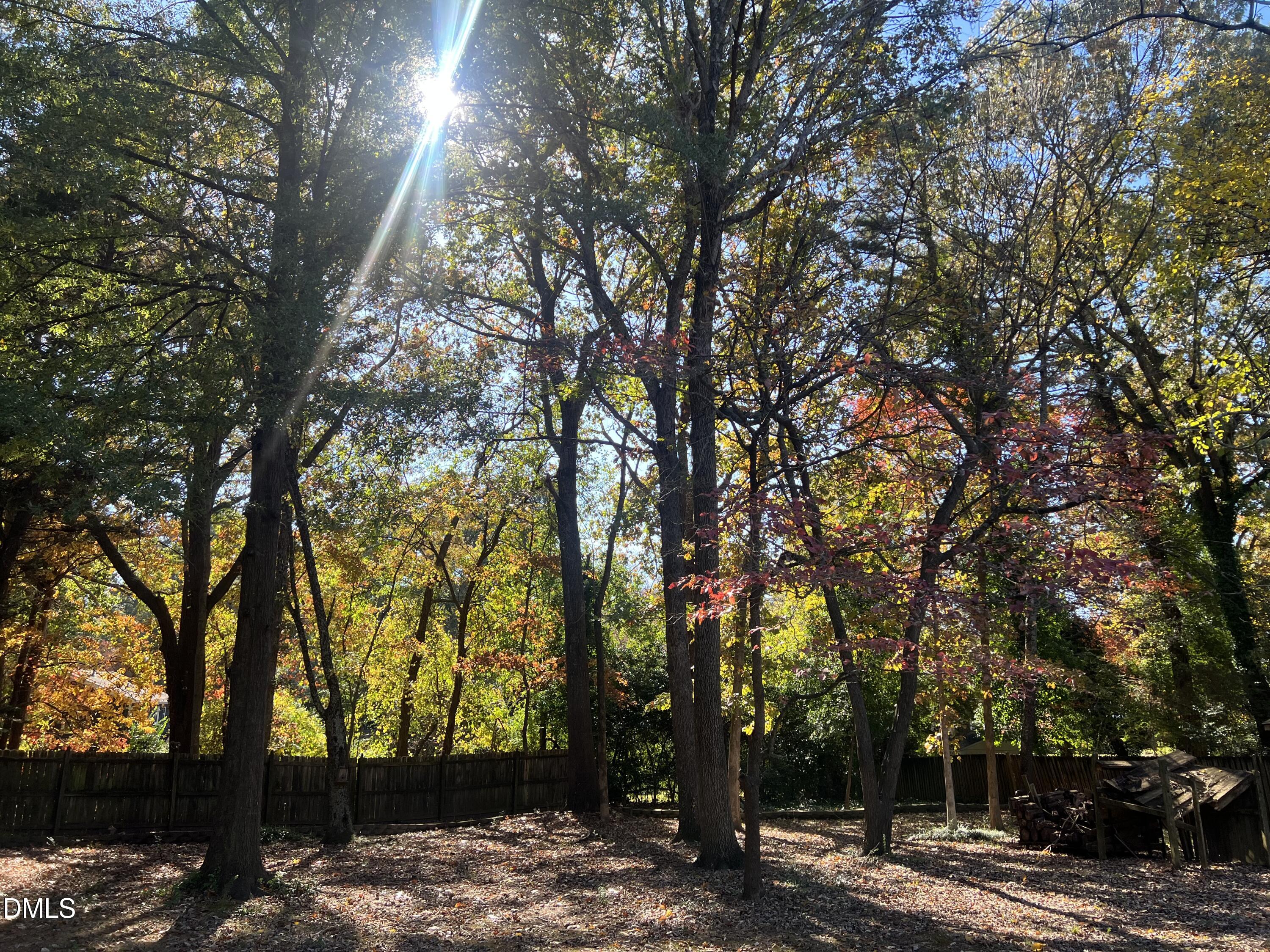 3517 Morningside Drive Raleigh, NC 27607 - Photo 14 of 14 a view of a yard with trees