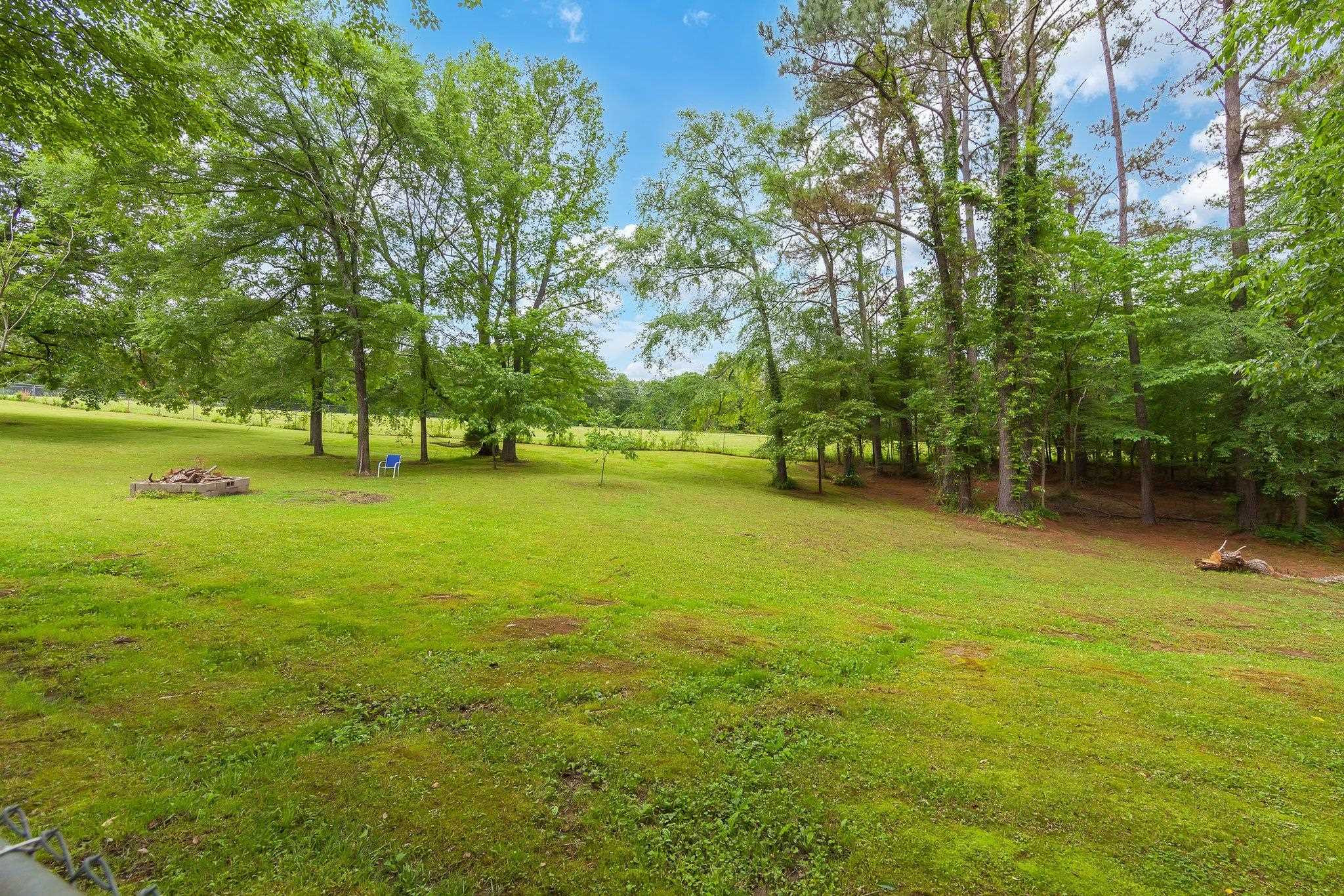 65 Jennalee Lane Medon, TN 38356 - Photo 38 of 43 a view of a trees in a yard